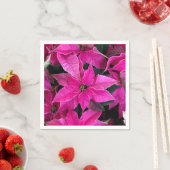 ダークピンクポインセチア スタンダードカクテルナプキン (インサイチュ)