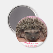 ダークピンク3、何を見ている？ マグネット (正面/裏面)