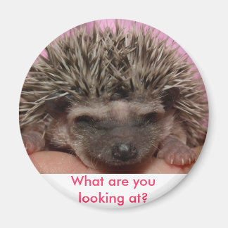 ダークピンク3、何を見ている？ マグネット