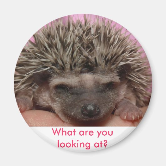 ダークピンク3、何を見ている？ マグネット (正面)