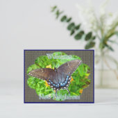 ダークフェイズタイガーアゲハチョウウェルカムネイバー ポストカード (スタンド正面)