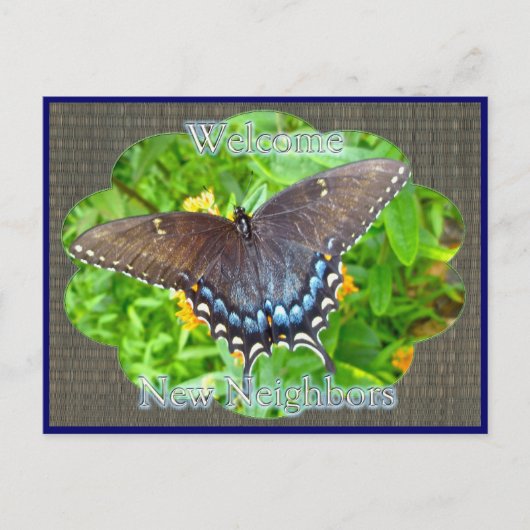 ダークフェイズタイガーアゲハチョウウェルカムネイバー ポストカード (正面)