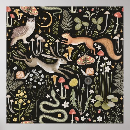 ダークフォレストのポスター ポスター (正面)