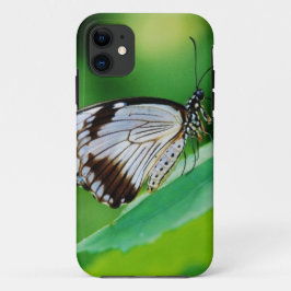 ダークブラウンとグレーの蝶 iPhone 11 ケース