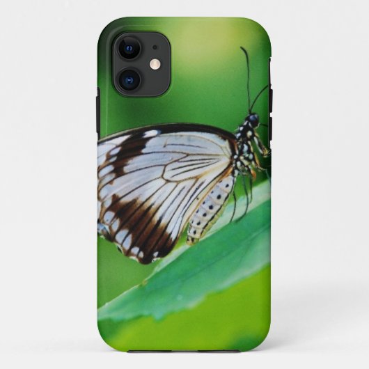 ダークブラウンとグレーの蝶 Case-Mate iPhoneケース (裏面)