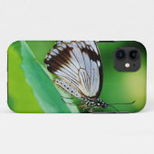 ダークブラウンとグレーの蝶 Case-Mate iPhoneケース (裏面(横))
