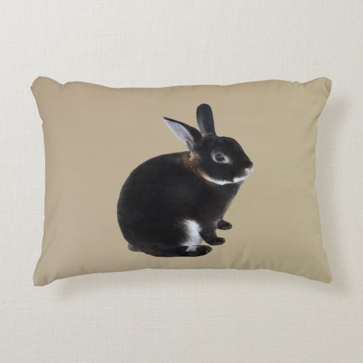 ダークブラウンとホワイトミニレックスウサギ アクセントクッション (正面)