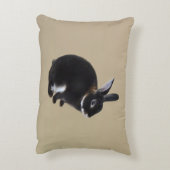 ダークブラウンとホワイトミニレックスウサギ アクセントクッション (裏面(縦))