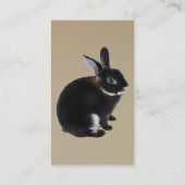 ダークブラウンとホワイトミニレックスウサギ 名刺 (裏面)