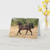 ダークブラウンマスペインのスタンマーレ歩く カード (黄色い花)