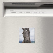 ダークブラウン馬 マグネット (インサイチュ (食洗機))