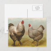 ダークブラーマ ポストカード (正面/裏面)