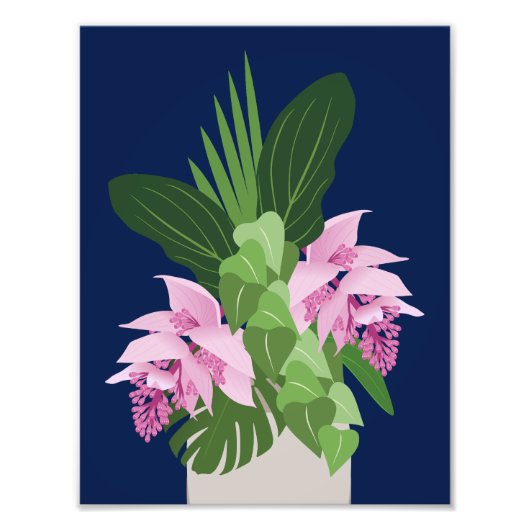 ダークブルーの熱帯メディニラピンクの花 フォトプリント            (正面)