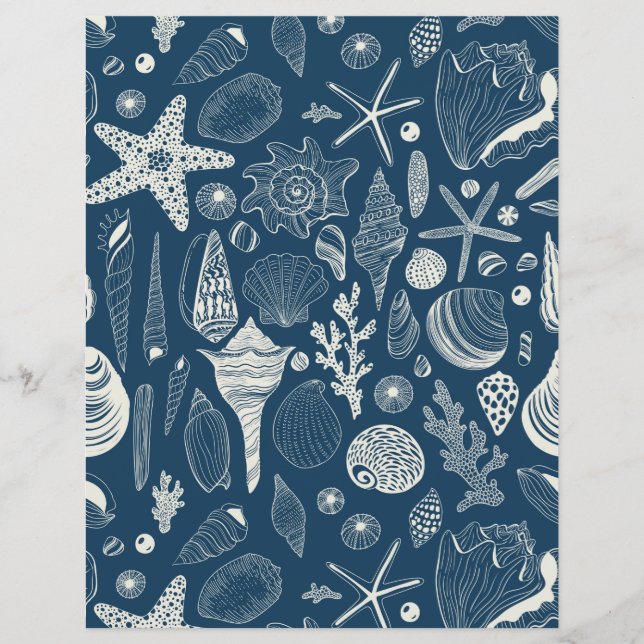 ダークブルーの貝殻 (正面)