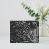 ダークヘッジズアイルランド ポストカード (スタンド正面)