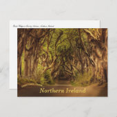 ダークヘッジズノーザンアイルランドポストカード ポストカード (正面/裏面)