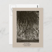 ダークヘッジ、ストラノカム、バリーマネーNIポストカード ポストカード (正面/裏面)