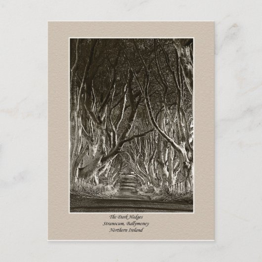 ダークヘッジ、ストラノカム、バリーマネーNIポストカード ポストカード (正面)