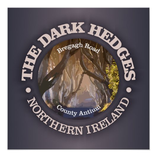 ダークヘッジ（第3） ポスター (正面)