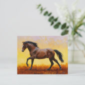 ダークベイスタリオンホースギャロッピング ポストカード (スタンド正面)