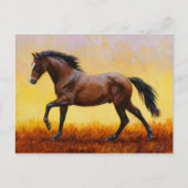 ダークベイスタリオンホースギャロッピング ポストカード (正面)