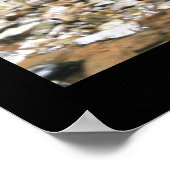 ダークホロー秋プリント#4838 ポスター (角)