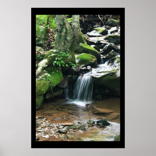 ダークホロー秋プリント#4838 ポスター (正面)