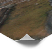 ダークホロー秋#4904ポスター ポスター (角)