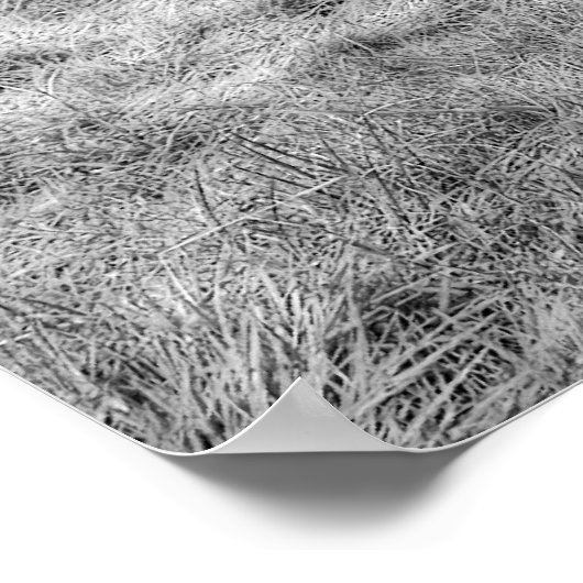 ダークホースポスター ポスター (角)