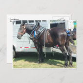 ダークホース ポストカード (正面/裏面)