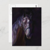 ダークホース ポストカード (正面/裏面)