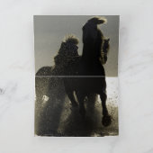 ダークホースIII馬グリーティングカード カード (内部)