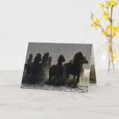 ダークホースIII馬グリーティングカード カード (黄色い花)