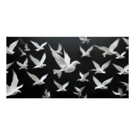 ダークボイドの光る群れ ポスター