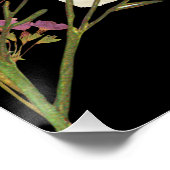 ダークボホプレス紙花 ポスター (コーナー)