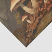 ダークマッシュルームのヴィンテージ分離 薄葉紙 (詳細)