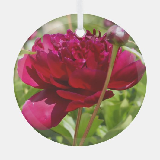 ダークマルーンのベルベット牡丹 ガラスオーナメント (正面)