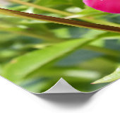 ダークマルーンのベルベット牡丹 ポスター (角)