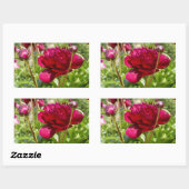 ダークマルーンのベルベット牡丹 長方形シール (シート)