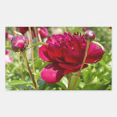 ダークマルーンのベルベット牡丹 長方形シール (正面)