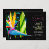 ダークムーディトロピカルバードオブパラダイスブラック 招待状 (正面/裏面)