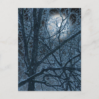 ダークムーン葉書 ポストカード