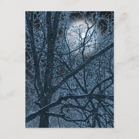 ダークムーン葉書 ポストカード (正面)