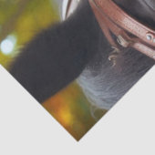 ダークライダースチームパンクビクトリアンレディーデコップページ 薄葉紙 (詳細)