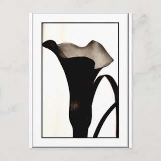 ダークリリー ポストカード