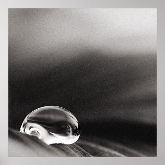 ダークレインポスター ポスター (正面)