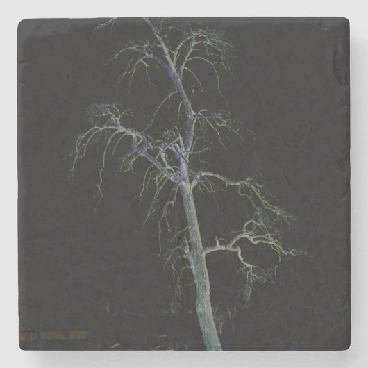 ダーク側8色 ストーンコースター (正面)