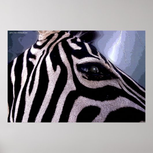 ダーク大陸バイグレゴリーガロ ポスター (正面)