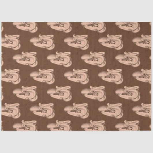 ダーク航海のシリーズデザイン13 薄葉紙 (正面)