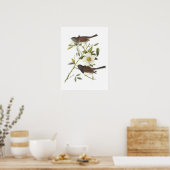 ダーク・アイド・ユンコ(Dark-eyes Junco) by Audubon ポスター (キッチン)